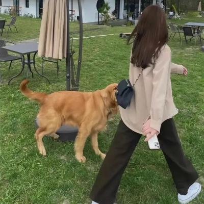 搜索者 海报